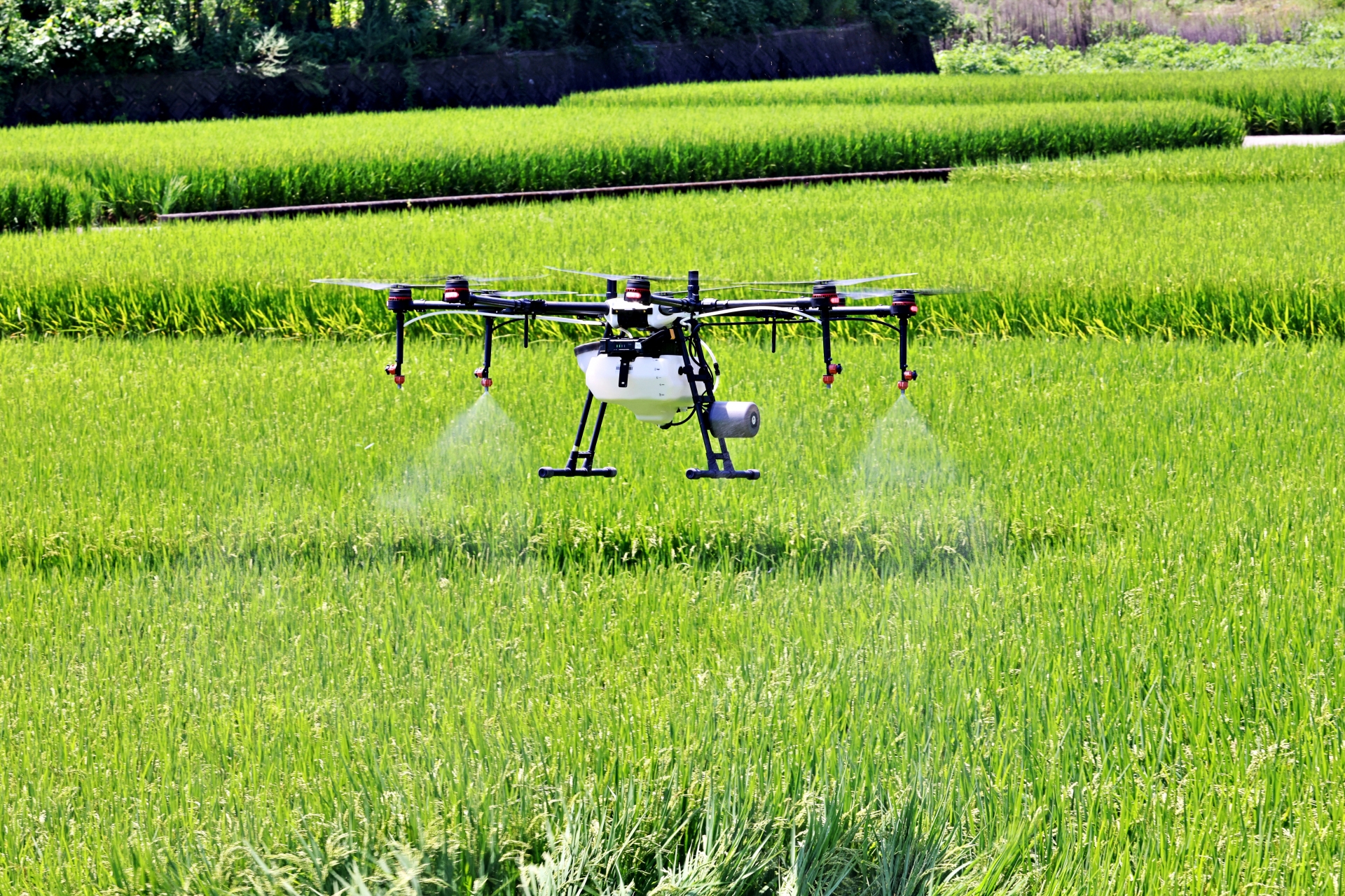 格安料金】広島のドローン農薬散布ならソーダクルー - 楽天グループ様等大手企業の実績多数のドローン専門会社